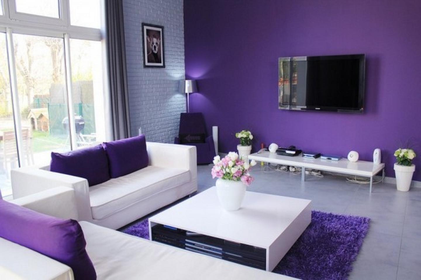 Living Room Color Ideas Purple And Blur Sofa