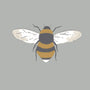 Sophie Allport Bees Made to Measure Curtain Pale Slate Sample Image
