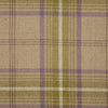 Paoletti Aviemore Lined Ready Made Eyelet Curtains Thistle